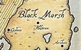 Black_marsh